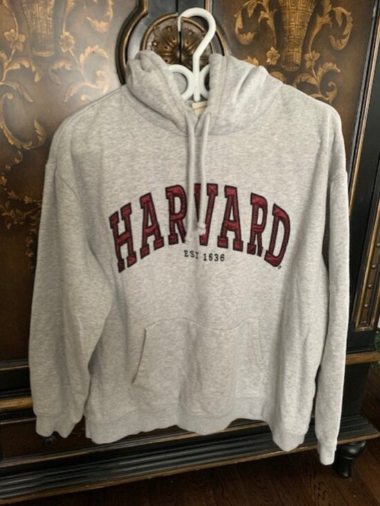 Other - HARVARD UNIVERSITY MENS  HOODIE